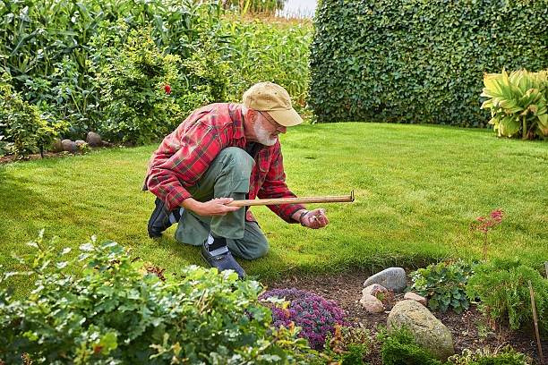 istock Retired man spending his time weeding in the garden 638296646