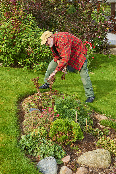 istock Retired man spending his time weeding in the garden 638296910