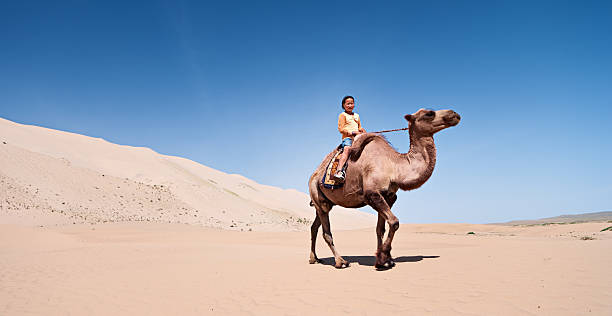 Mongolian girl riding on the camel, Gobi Desert