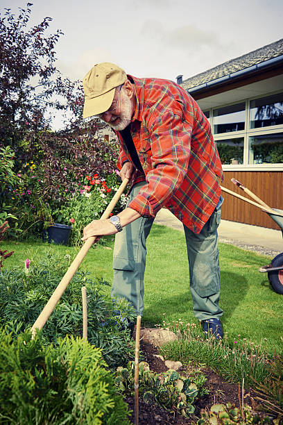 istock Retired man spending his time weeding in the garden 638296996