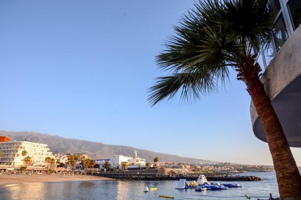 istock Landscape in Tropical Volcanic Canary Islands Spain 638298692