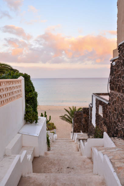 istock Landscape in Tropical Volcanic Canary Islands Spain 638298784