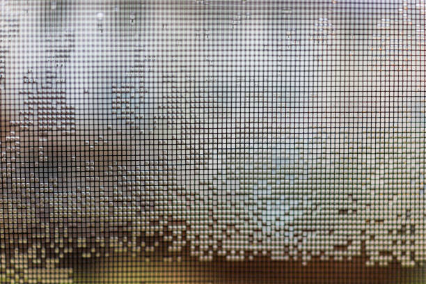 istock Metal mesh screen on window with rain water drops 638299634