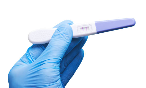 istock Artificial insemination. doctor's hand in glove holding positive 638299790