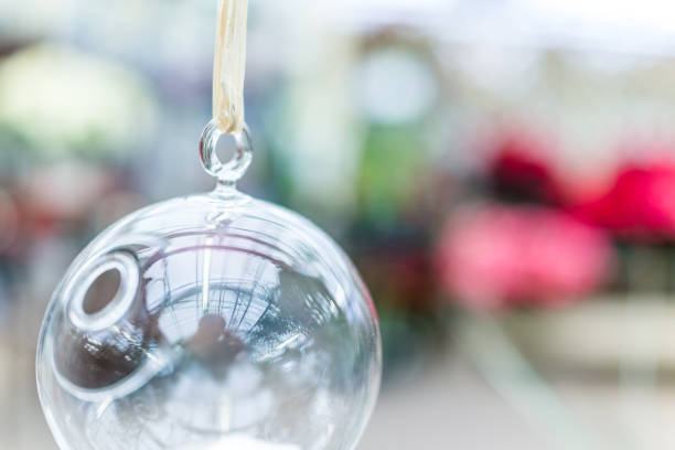 istock Hanging glass terrarium for plants closeup 638299904