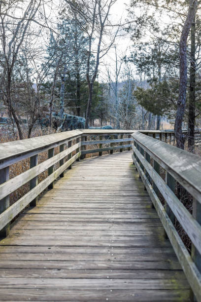 istock Wooden boardwalk in park during winter 638303464