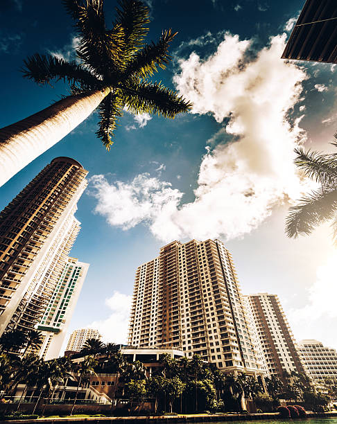 istock the Miami brickell key aerea in the downtown 638303514
