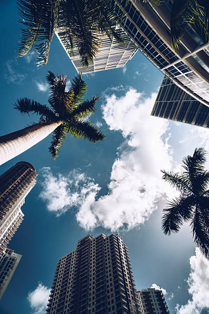istock the Miami brickell key aerea in the downtown 638303668