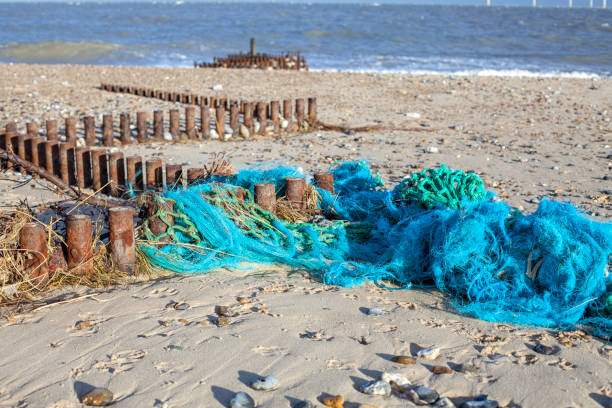 istock Abandoned sea fishing nets caught on a beach groyne 638306384