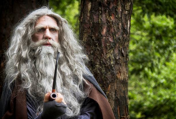 istock mature man in wizard costume surrounded by woodland 638307182