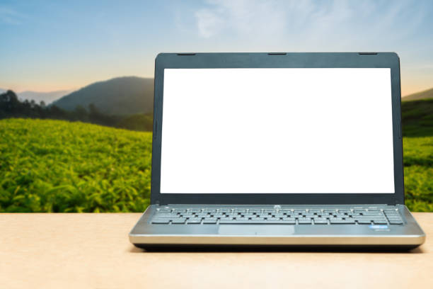 istock Laptop with blank screen on table with blur green nature 638309306