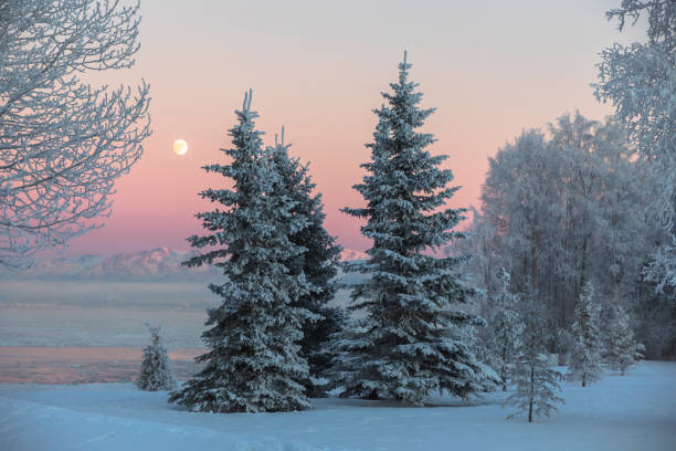 冬 moonrise - landscaped landscape winter usa ストックフォトと画像