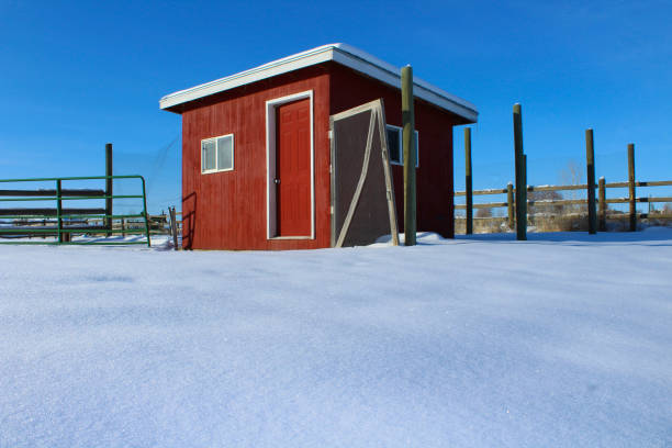 Chicken Coop on Snow Covered Farm Chicken Coop on Snow Covered Farm winter chicken coop stock pictures, royalty-free photos & images