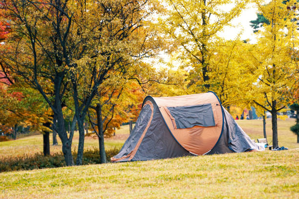 istock golden meadow with plastic tent 638311062