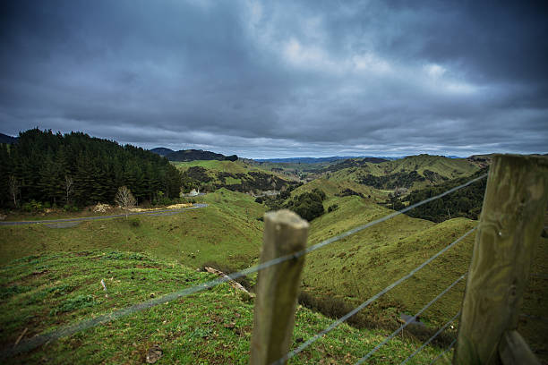 Narrow Remote Valley in Manawatu-Wanganui Region, New Zealand Ruatiti Domain, Manawatu-Wanganui Region, New Zealand seen over a fence. manawatu stock pictures, royalty-free photos & images