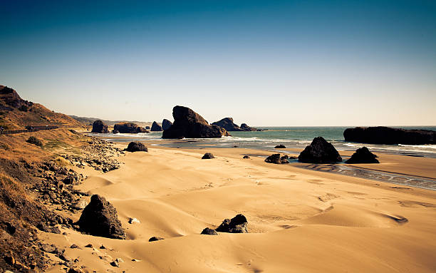 Picturesque beach with stacks near Gold Beach, off the Oregon Coast Highway.