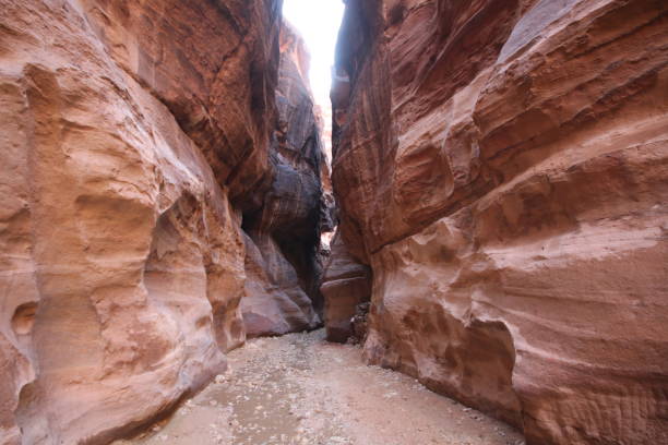istock Siq or al Siq in petra city 638312892
