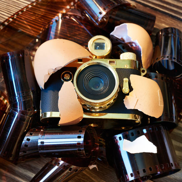 istock Concept small compact camera as baby in nest 638313620