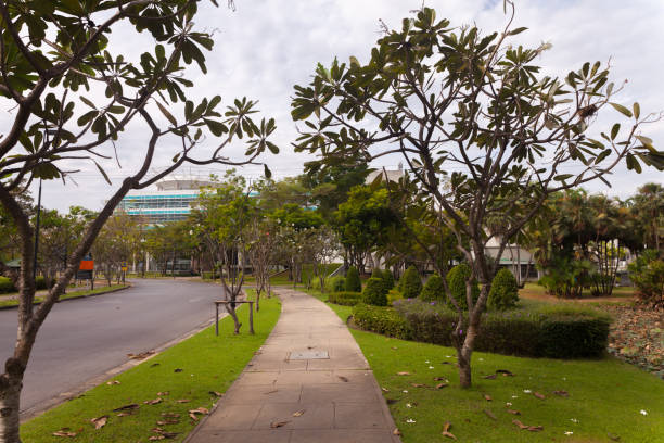 istock green bush in the park 638315280