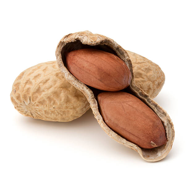 istock Opened peanut or groundnut pod isolated on white background clos 638319654