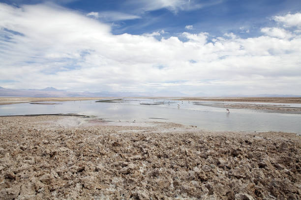 istock Chaxa Lagoon in the Salar de Atacama, Chile 638322764
