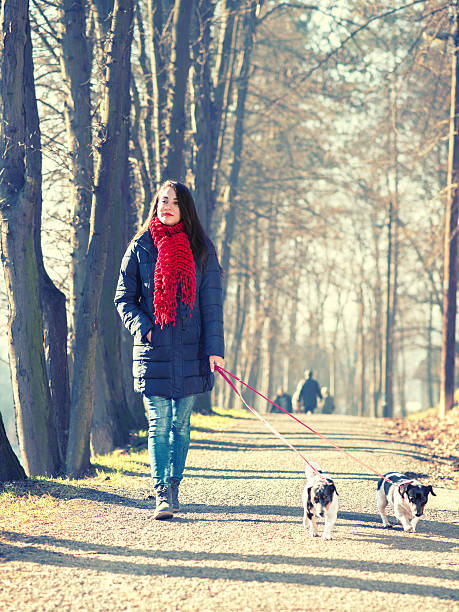 istock Woman out walking two dogs in a forest 638324818