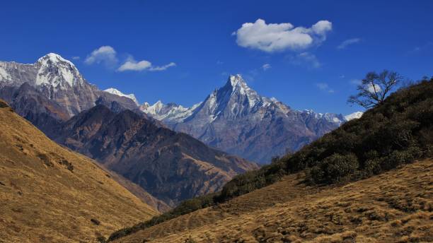 istock Mount Machapuchare and Hiun Chuli 638325898