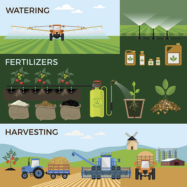 Agricultural and farming. Vector illustrations for agricultural and farming. Infographic fertilizer illustrations stock illustrations