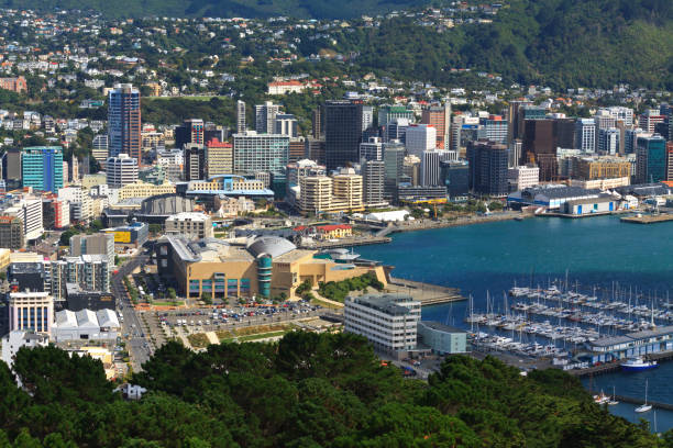 istock Wellington, aerial view 638330942