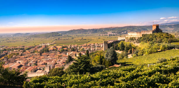 istock view of Soave (Italy) and its famous medieval castle. 638332150