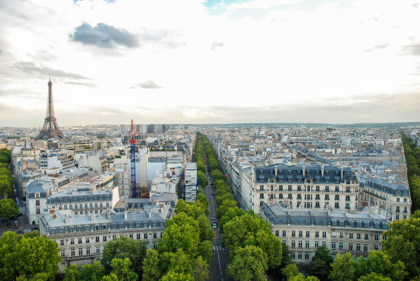 istock Aerial view of Paris 638332404
