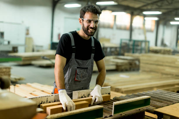 istock Handsome young man working in the lumber factory 638333448