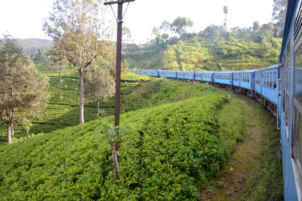 istock Train from Ella to Kandy among tea plantations, Sri Lanka 638336040