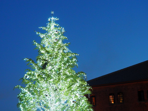 Decorated shiny outdoor Christmas tree