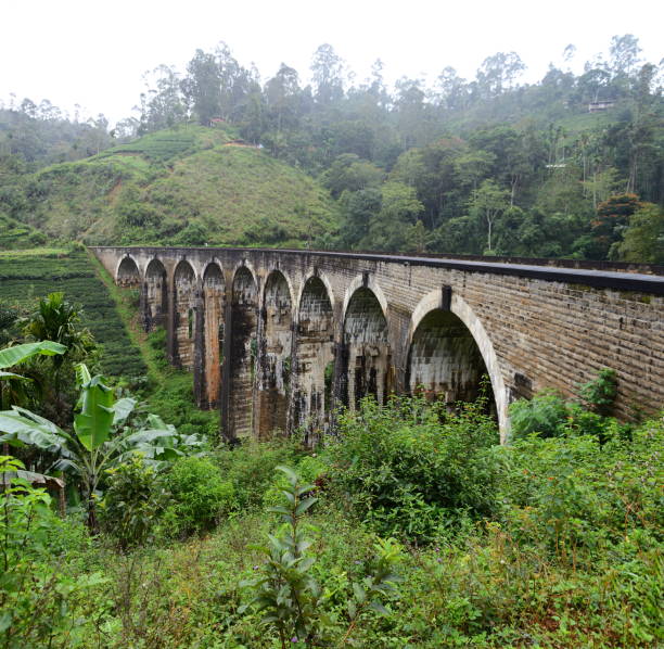 istock Nine Arch Bridge near Ella, Sri Lanka 638339270