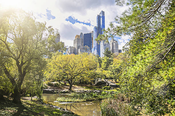 istock Central park and New York City on sunny day 638340558