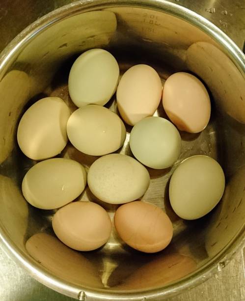 istock Farm eggs in a metal bowl 638342254