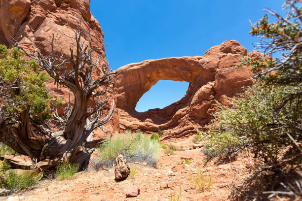 istock Landscape Arch in Arches National Park 638346074