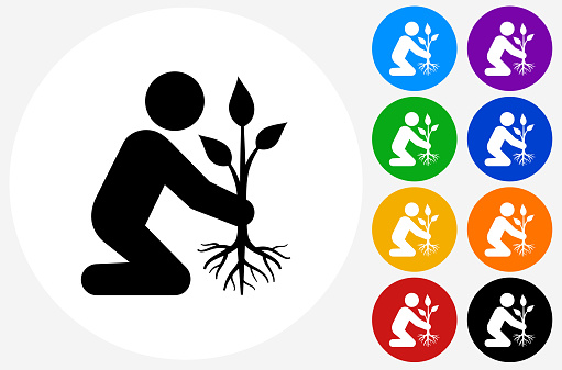 Planting Tree Icon on Flat Color Circle Buttons. This 100% royalty free vector illustration features the main icon pictured in black inside a white circle. The alternative color options in blue, green, yellow, red, purple, indigo, orange and black are on the right of the icon and are arranged in two vertical columns.