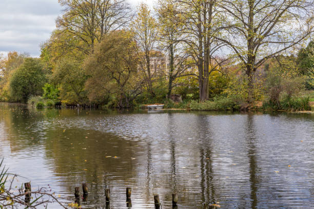 Shot taken at The Glade, Sidcup in November and shows lovely autumn colours and trees.