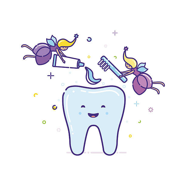 dwie wróżki czyszczą ząb szczoteczką do zębów. wektor - human teeth fairy cartoon toothbrush stock illustrations