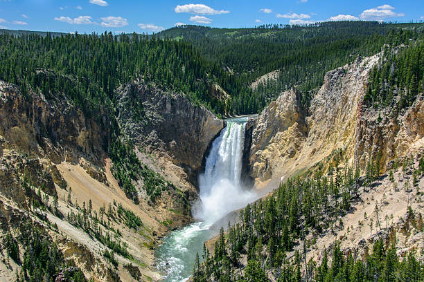 yellowstone falls in nationalpark, wyoming usa - grand view point stock-fotos und bilder