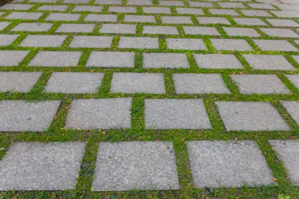 Paving-stone and green grass