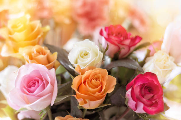 istock Colorful Rose Bouquet 638357778