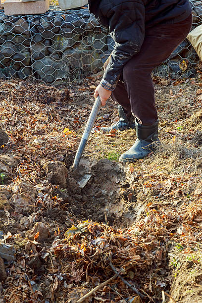 istock Man digging with spade in autumn or spring garden, 638362080