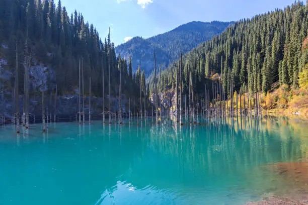 Photo of Kaindy Lake, Kazakhstan