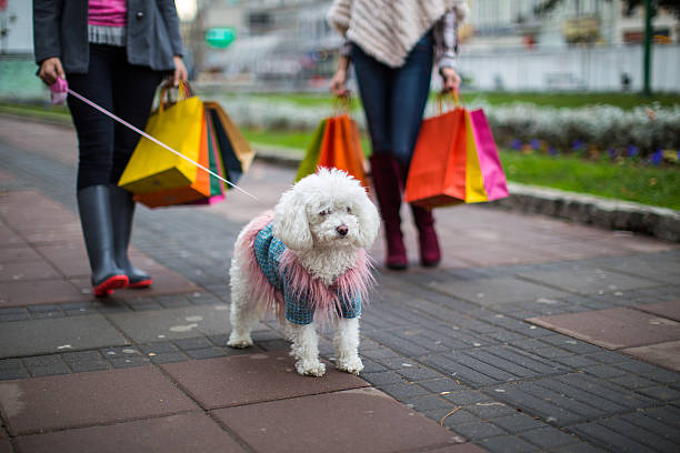 Two women and a dog going for a walk with shopping bags