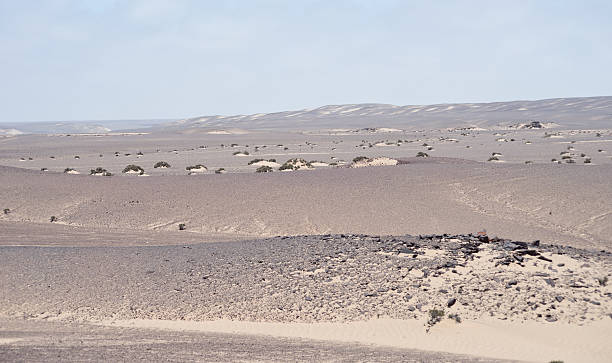 paisagem do deserto - landscape panoramic kalahari desert namibia imagens e fotografias de stock