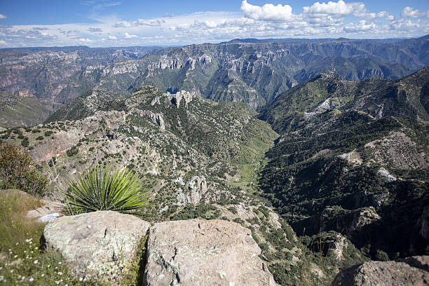 530+ Sierra Madre Occidental Fotos Fotografías de stock, fotos e
