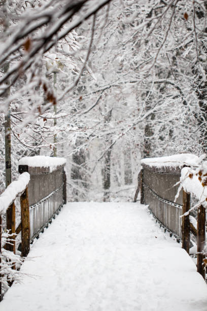 istock Wooden foot bridge covered in snow in a winter forest 638367326